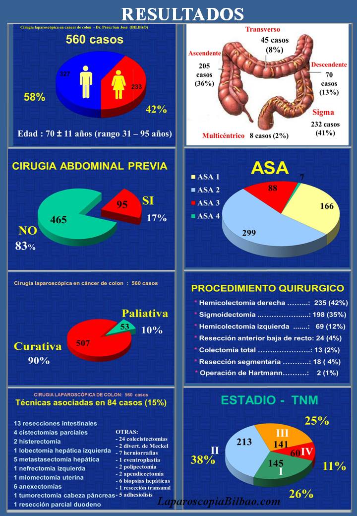 LaparoscopiaBilbao.com